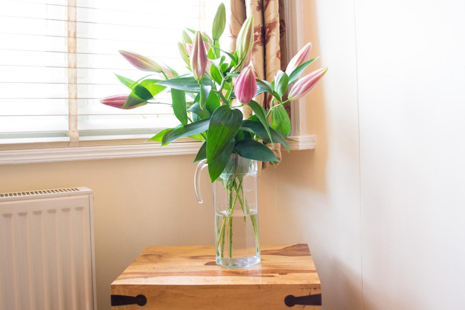 Holiday home Host & - York Terrace *